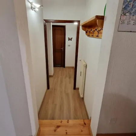 Vicino Impianti - Aquila Reale