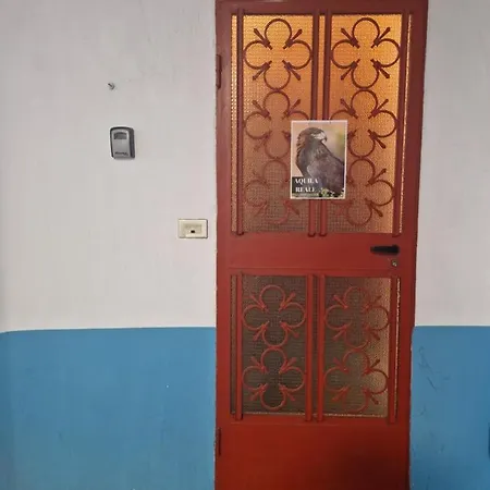 Vicino Impianti - Aquila Reale *